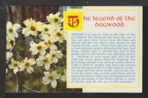 Legend of the Dogwood Postcard 