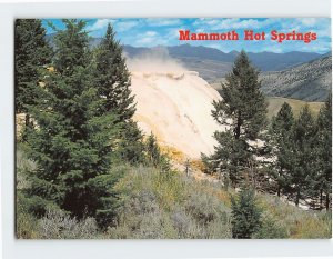 Postcard Mammoth Hot Springs, Yellowstone National Park, Wyoming