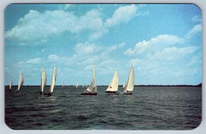 Sailing Regatta On Seneca Lake, Finger Lakes, New York, Vintage Chrome Postcard