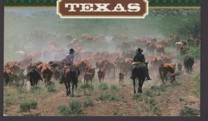 Texas Roundup ~ Cont'l