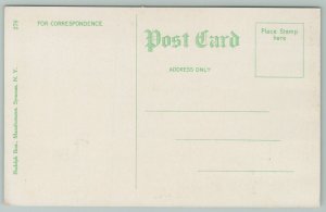 Syracuse New York~Public Library~c1910 Postcard