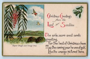 Christmas Postcard Greetings From The Land Of Sunshine Pepper Orange Trees