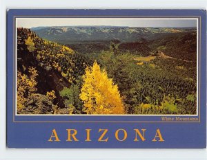 M-165408 A High Panoramic View White Mountains Northern Arizona USA