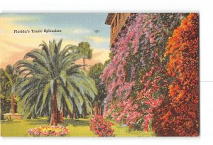 Florida FL Postcard 1930-1950 Florida's Tropic Splendors Land of Flowers