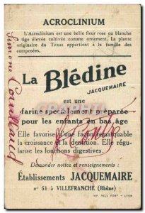 Image Acroclinium Bledine