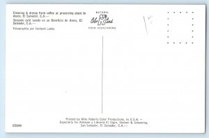 El Salvador C.A. Postcard Coral Cleaning & Drying Fresh Coffee c1950’s Vintage