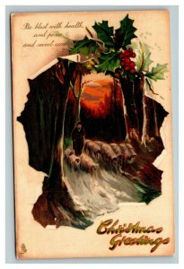 Vintage 1910's Tuck's Christmas Postcard Herder Flock of Sheep Mistletoe