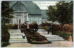 PEORIA, Illinois  IL    Glen Oak Park  THE PALM HOUSE  ca 1910s  Postcard