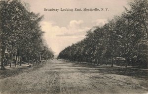 C.1910 Broadway Looking East, Monticello, N.Y. Tree Lined Dirt Road Postcard