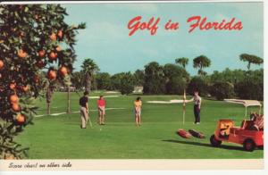 FL   FLORIDA GOLF SCORECARD  postcard