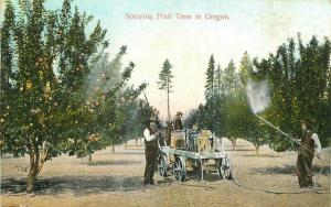 1909 Farm Agriculture Spraying Fruit Trees Oregon Postcard Rieder 3861