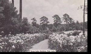 South Carolina East Lake Swan Lake Gardens Dexter Press Archives