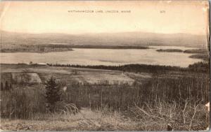 View of Mattanawcook Lake, Lincoln Maine Vintage Postcard Q28