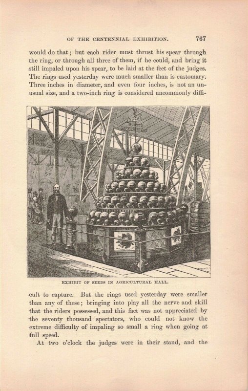 1876 Victorian Garden Seeds Exhibit Agricultural Hall Engraving 2T1-57h 