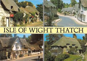 BR89769 isle of wight thatch  uk