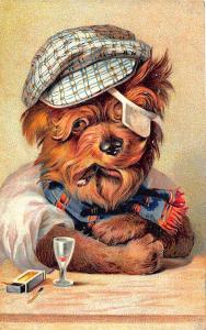 New Bedford MA PFB Embossed Cigar Smoking Drinking Dog Postcard