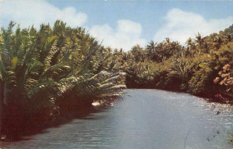 Ylig River Guam Scenic View Vintage Postcard J78856