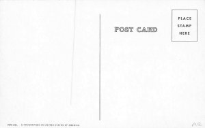 International Pickup Truck w/Comfo-Vision Cab Postcard