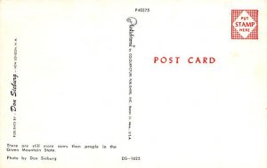 Grass is Greener Vermont, USA Cow Postcard