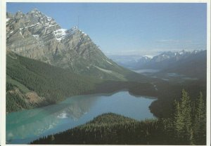 Canada Postcard - Peyto Lake - Banff - Alberta   AB1519