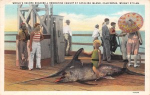 Catalina Island California World Record Swordfish, White Border Postcard U13685