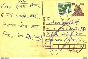 India Postal Stationery Tiger 25