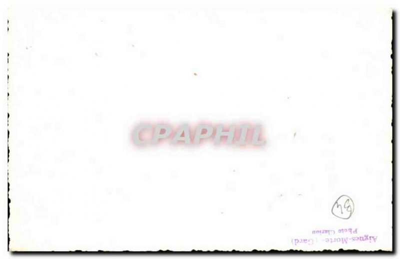 Acute Dead Map Photo Clarion