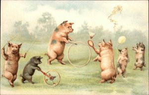 Fantasy Pigs Playing Gamse Badminton Hula Hoop Kite etc c1905 Postcard