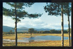 Portland, Maine/ME Postcard, Saco River Valley, White Mountains,New Hampshire/NH