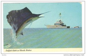 Sailfish catch , Florida , PU-1967