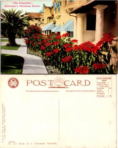 Poinsettia, Calif (14893