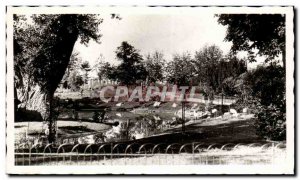 Postcard Moderne Vichy Parks and the new Swan Basin