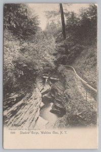Watkins Glen New York~Footbridge in Shadow Gorge~c1905 Rotograph #5086 Postcard 