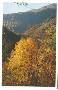 NC Mountain Views Autumn Mt. Mitchell North Carolina 3 cards