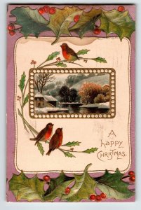 Christmas Postcard Robins Birds Embossed Series 3016 Davidson Germany 1910