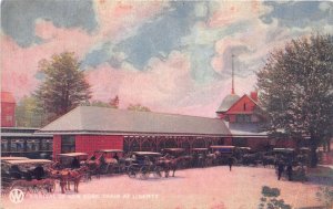 J41/ Liberty New York Postcard c1910 Railroad Depot Station Train Arrives 11