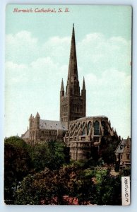 NORWICH Cathedral south east Norfolk England Postcard