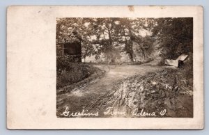 J87/ Adena Ohio RPPC Postcard c1910 Stuebenville Cadiz Covered Bridge 570