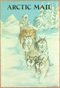 Artic Mail Nice modern English postcard