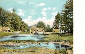 Vintage Postcard Nashua NH US Fish Hatchery Hllsborough County