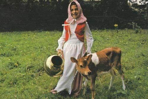 Jersey Island Cow Calf + Girl Costume Fashion Postcard