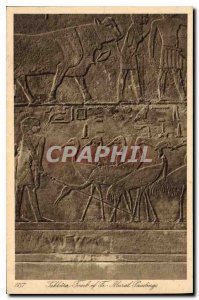 Postcard Ancient Egypt Egypt Sakkara