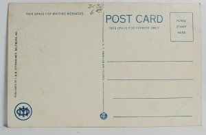 Steamer Ship EXPRESS Baltimore's Largest Excursion Steamer Postcard T4