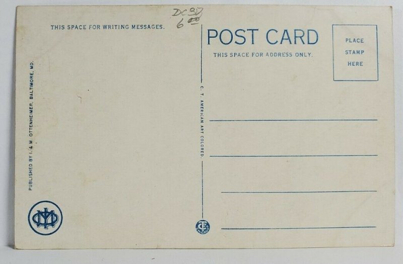 Steamer Ship EXPRESS Baltimore's Largest Excursion Steamer Postcard T4