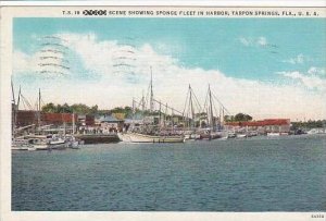 Florida Tarpon Springs Scene Showing sponge Fleet In Harbor