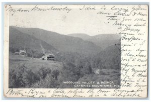 1905 Woodland Valley & Roxmor Catskill Mountains New York NY Antique Postcard