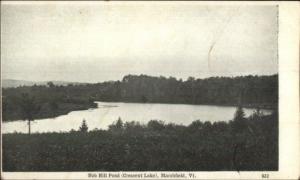 Marshfield VT Nob Hill Pond c1905 Postcard