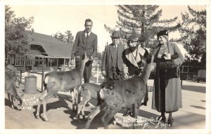 RPPC Feeding Deer on Mount Wilson, CA Nielen Photo 1938 Vintage Postcard