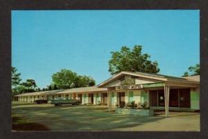 FL View Pine Forest Motel YULEE FLORIDA Postcard PC