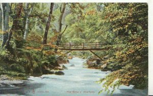 Scotland Postcard - The Birks O' Aberfeldy - Perthshire - Ref TZ2156